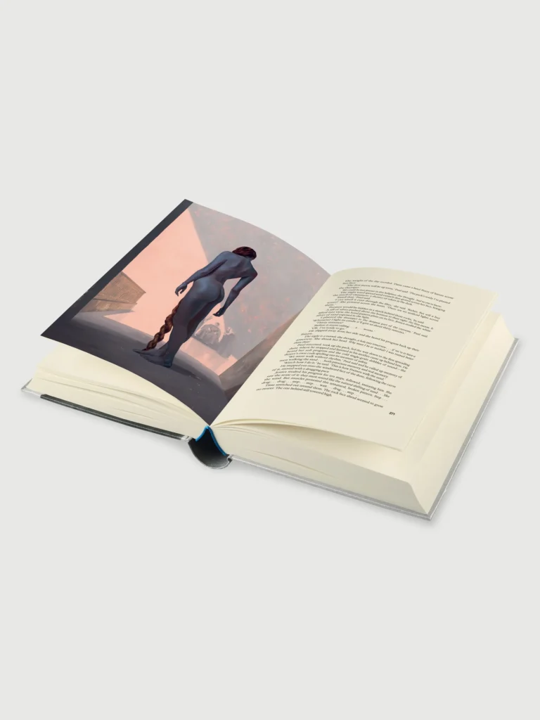 About The FOLLOWED Book